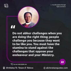 Famous & Popular Quote about challenge, challenges, Ministry, not, people, stamina, You: "Do not abhor challenges when you are doing the right thing; people challenge you because they want to be like you. You must have the stamina to stand against the challenges that oppose your endeavour and your Ministry."