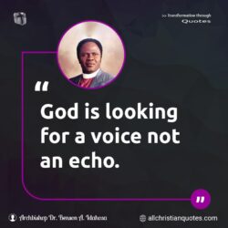 Famous & Popular Quote about echo, God, Looking, not, Voice: "God is looking for a voice not an echo."