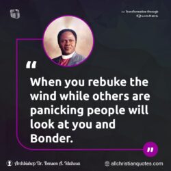 Famous & Popular Quote about panicking, people, rebuke, wind, You: "When you rebuke the wind while others are panicking people will look at you and Bonder."