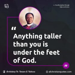 Famous & Popular Quote about anything, feet, You: "Anything taller than you is under the feet of God."