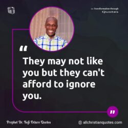 Famous & Popular Quote about afford, ignore, like, You: "They may not like you but they can’t afford to ignore you."